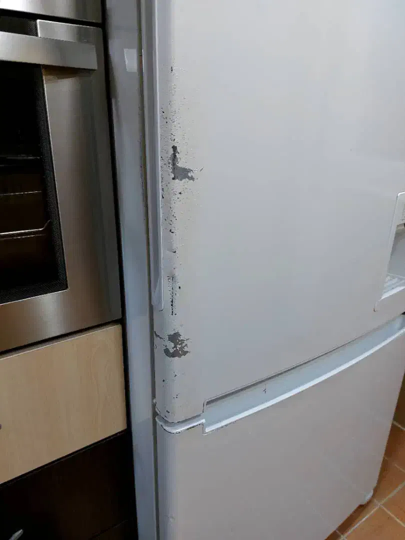 تحغیررنگ رنگ درمحل واجرای پوسیدگیدگی|خدمات پیشه و مهارت|کرج, فاز ۳ مهرشهر|دیوار