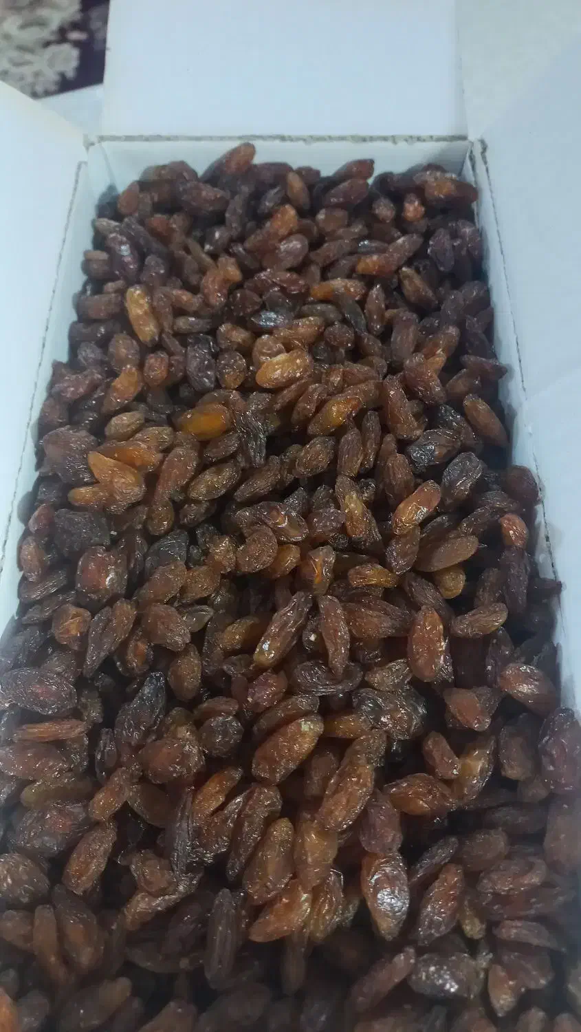 کشمش آفتابی(محصولات ارگانیک)|خوردنی و آشامیدنی|سبزوار, پاسداران|دیوار