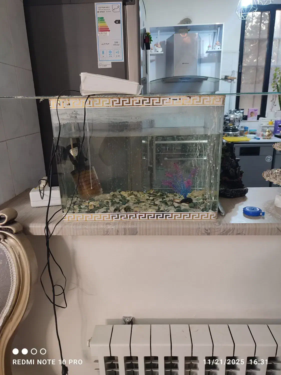 آکواریوم شیشه خم مفت|ماهی|تهران, افسریه شمالی|دیوار