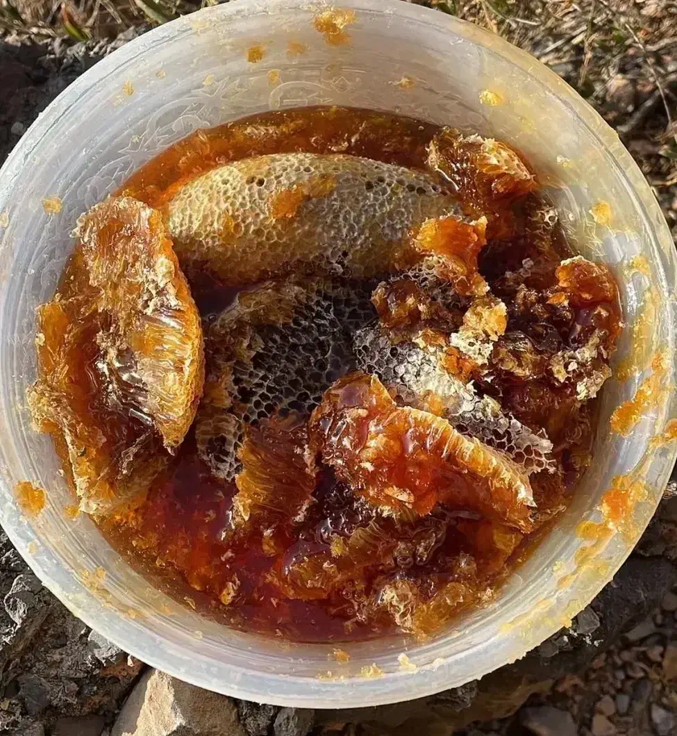 عسل طبیعی اصل اصل کمر موجوده|خوردنی و آشامیدنی|لیکک, |دیوار