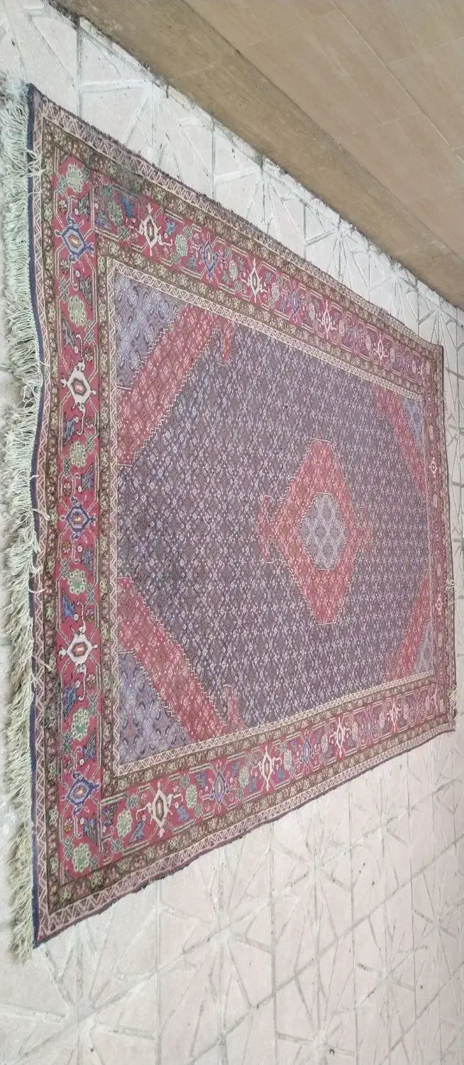 فرش دستبافت ۶ متری|فرش|اردبیل, |دیوار