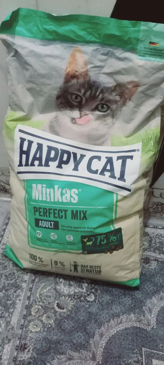 غذا گربه|لوازم جانبی حیوانات|بندرعباس, |دیوار