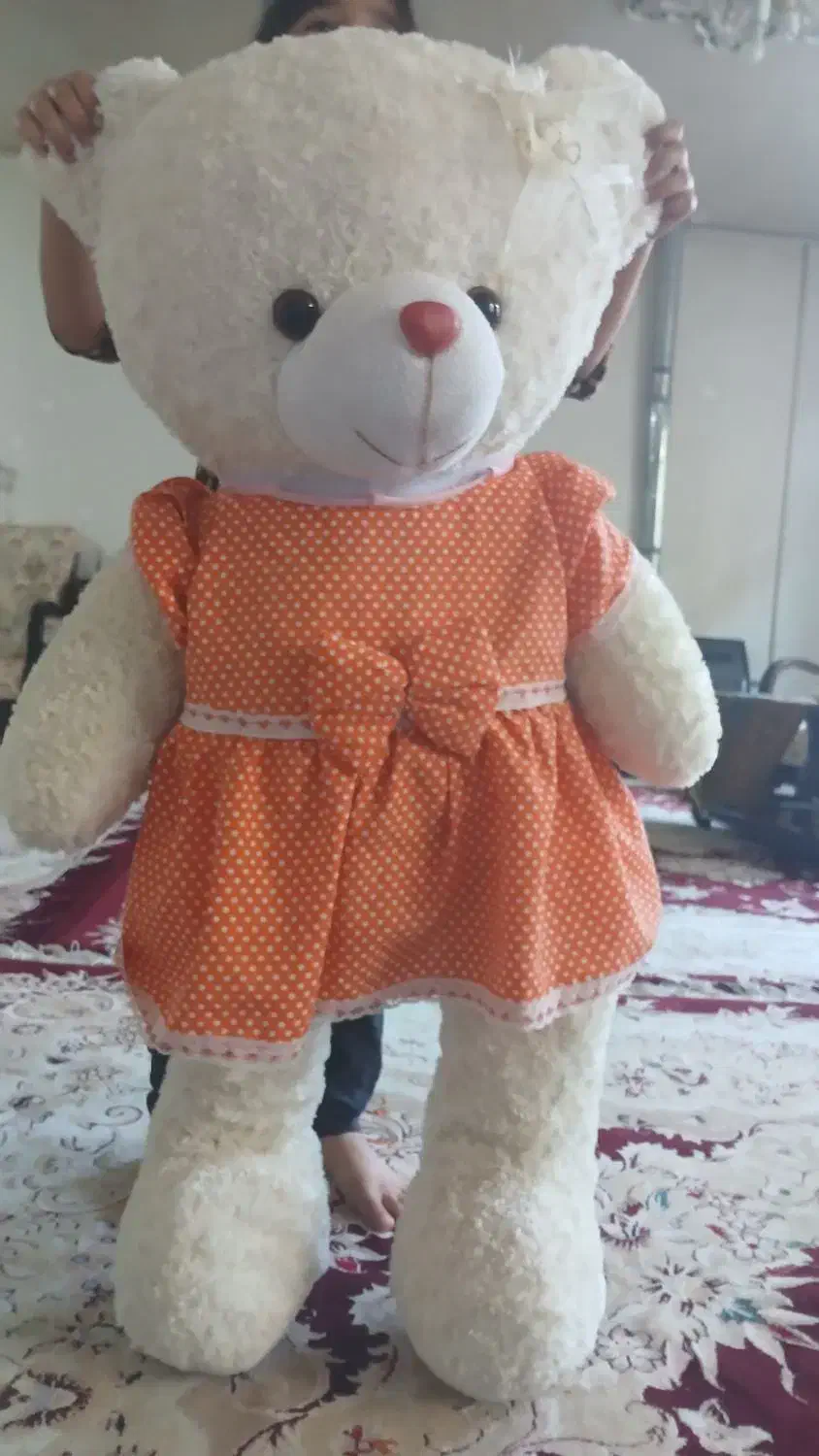 خرس عروسکی برگ|اسباب‌بازی بچه|بوئین و میاندشت, |دیوار