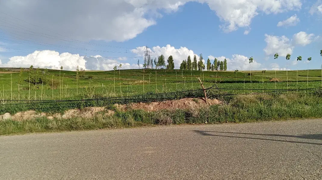 یونجه|حیوانات مزرعه|دیواندره, |دیوار