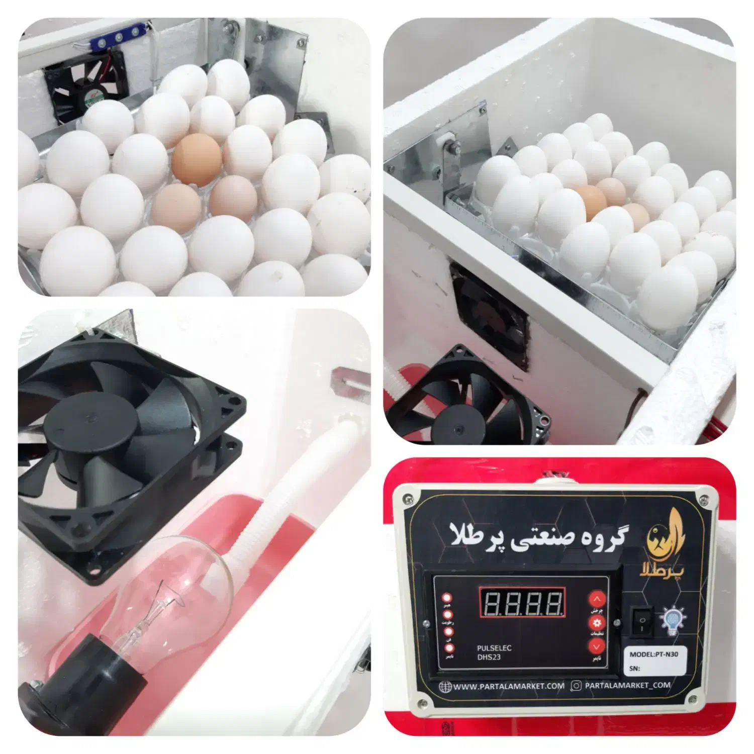 دستگاه جوجه کشی پر طلا|لوازم جانبی حیوانات|مریوان, |دیوار