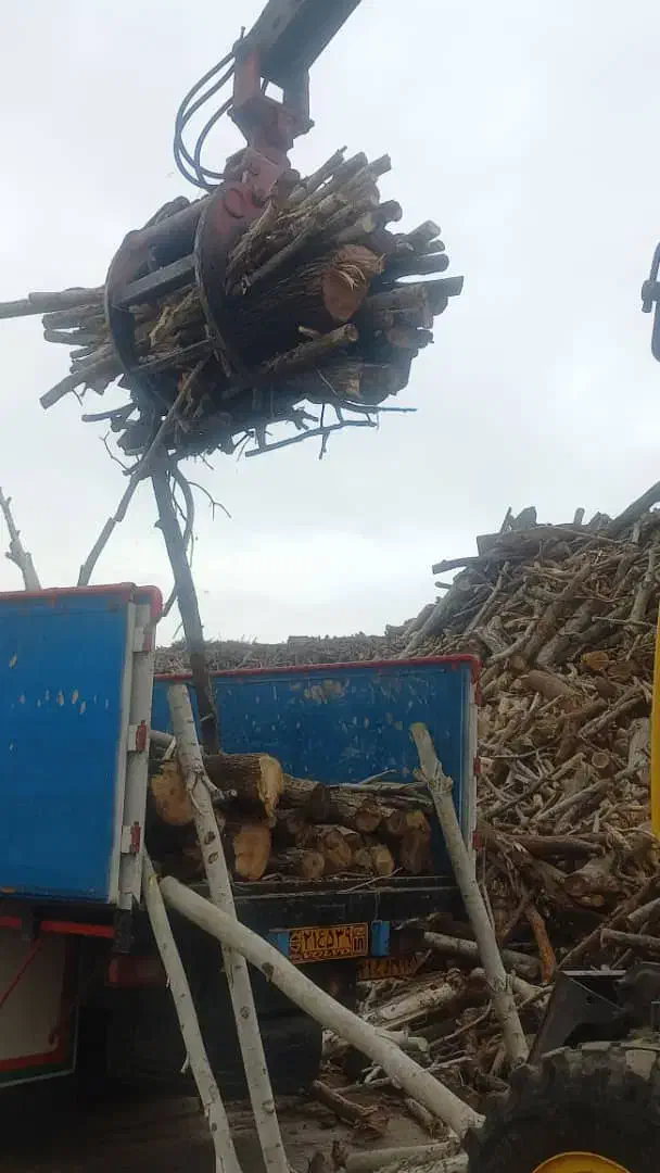 چو.ب|خدمات باغبانی و درختکاری|ملایر, |دیوار