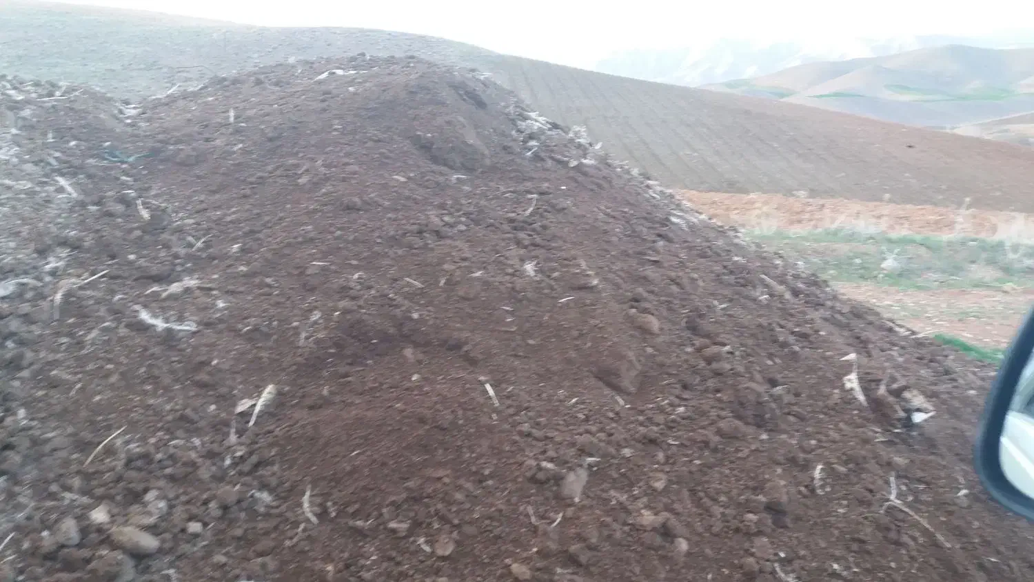 کود حیوانی|خدمات باغبانی و درختکاری|زرین دشت (همدان), |دیوار