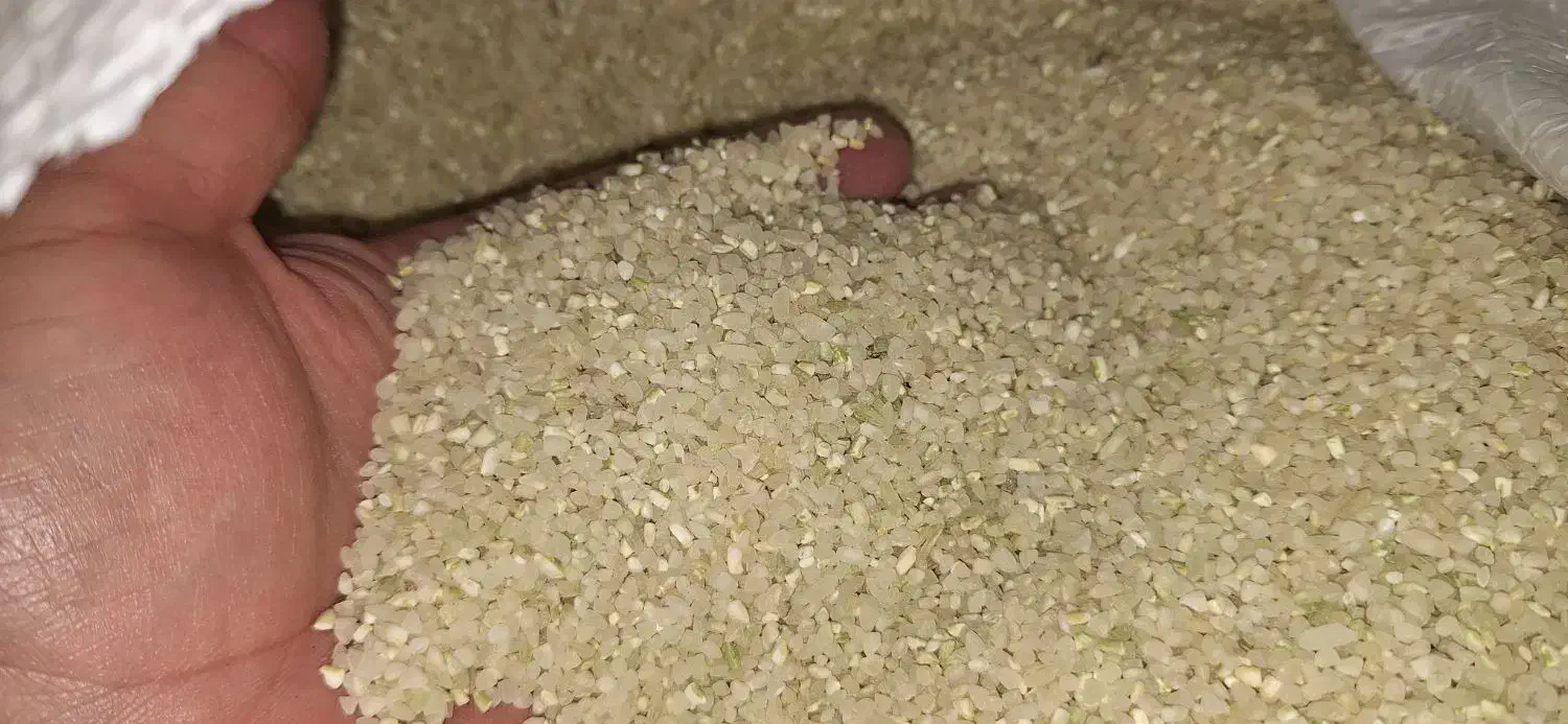 خرده برنج کامفیروزی|عمده‌فروشی|کامفیروز, |دیوار