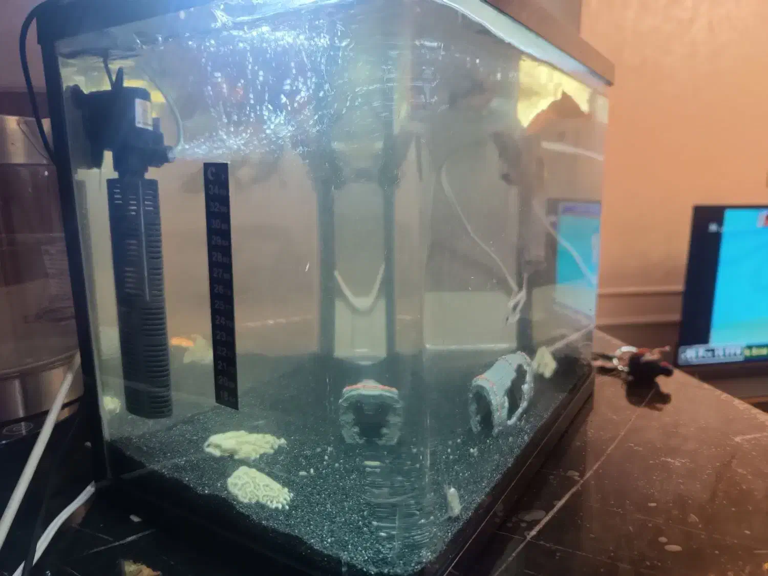 آکواریوم شیشه خم|ماهی|اندیشه, شهرک المهدی|دیوار