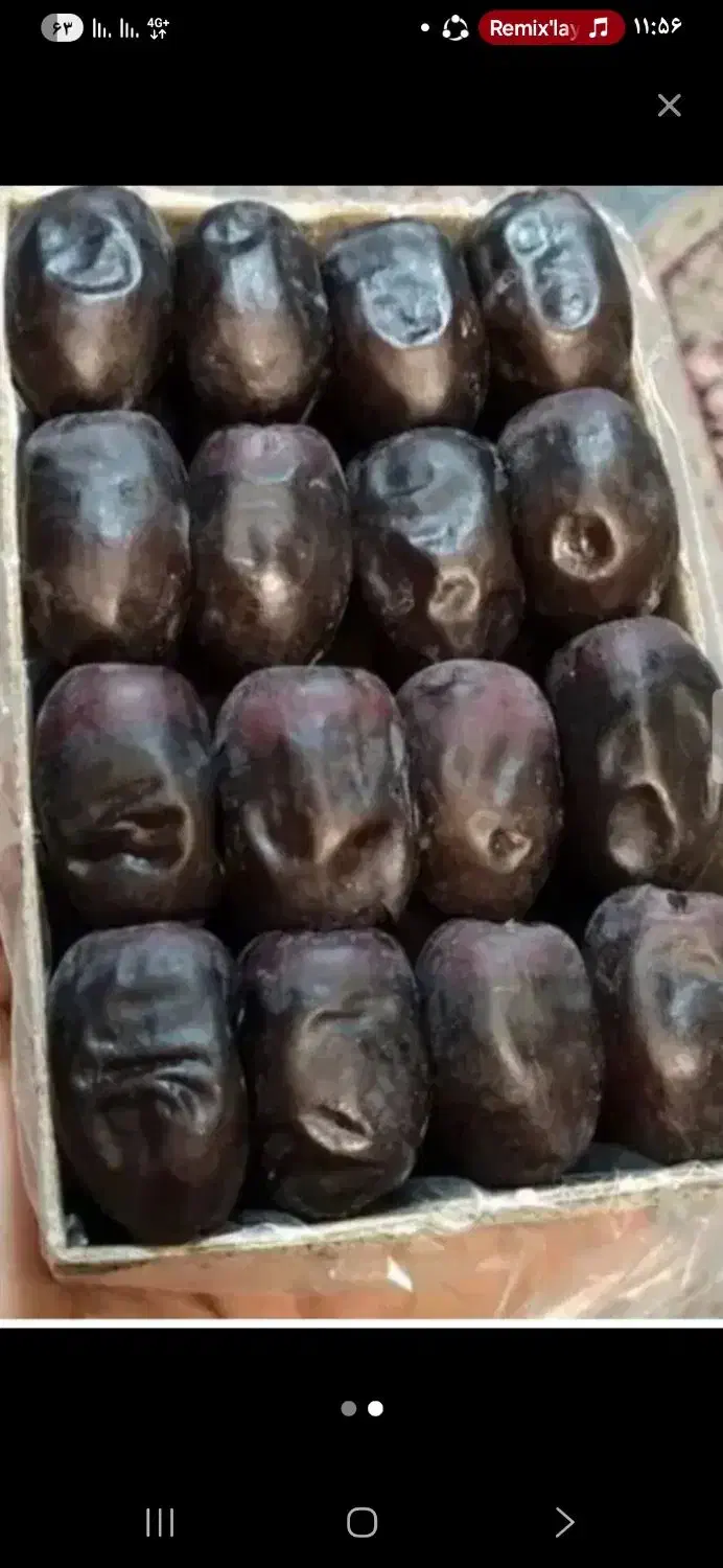 خرمای درجه یک سنگین خوش رویت|خوردنی و آشامیدنی|بم, |دیوار