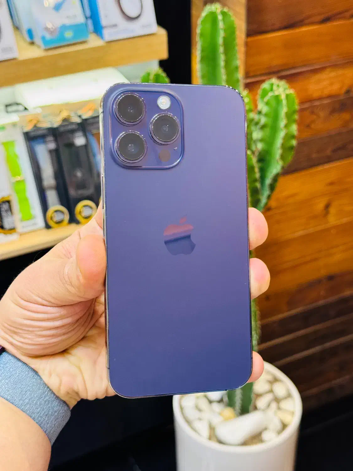 14پرومکس 256 ZAA با ریجستر 97% با شرایط راحت|موبایل|شهریار, شهریار|دیوار