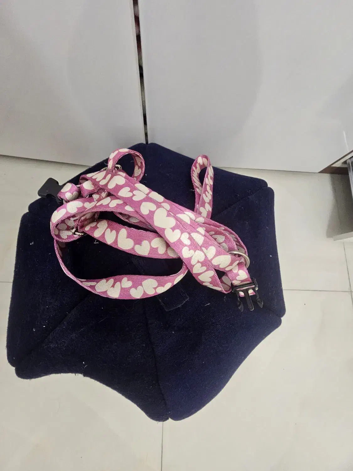 وسایل سگ|لوازم جانبی حیوانات|باقرشهر, |دیوار