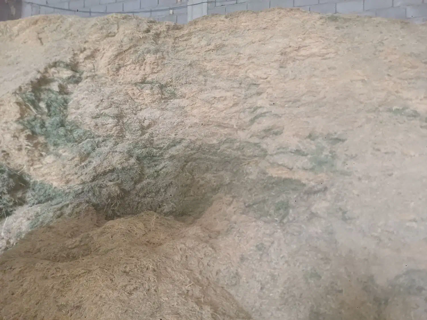 حدود هزار من کاه ینجه و کاه سفید درجه یک|لوازم جانبی حیوانات|جونقان, |دیوار