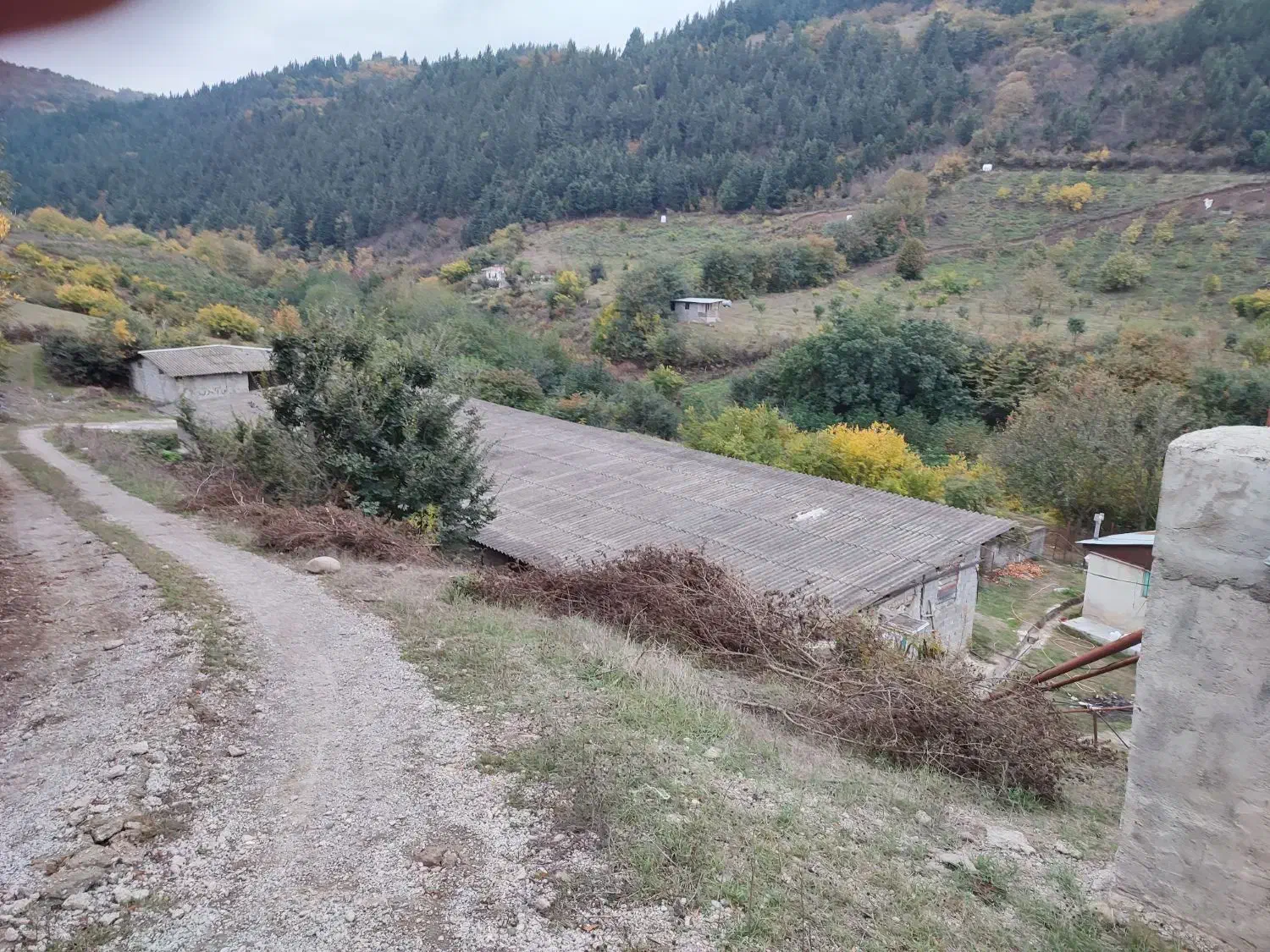 جذب کار آفرین در زمینه کشاورزی و دام وطیور|استخدام صنعتی، فنی، مهندسی|توتکابن, |دیوار