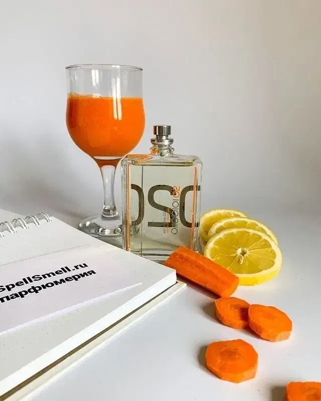 عطر امضای خودت رو پیدا کن|آرایشی، بهداشتی، درمانی|نجف‌آباد, امام خمینی|دیوار