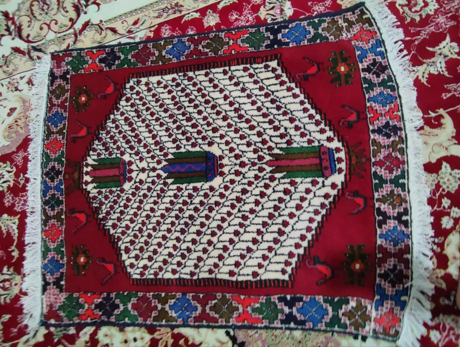 قالی دستبافت|گلیم، جاجیم، گبه|قزوین, |دیوار