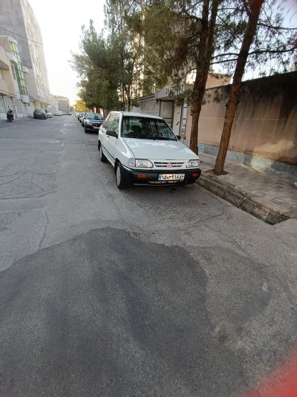 پراید صبا مدل۱۳۸۴شاستی پلم|خودرو سواری و وانت|بیرجند, |دیوار