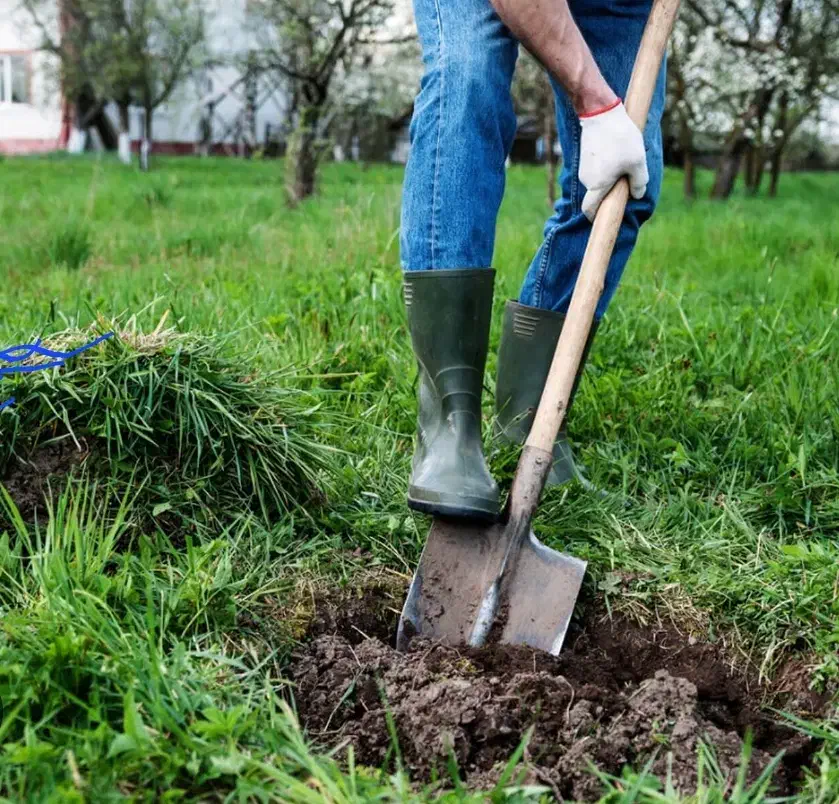 تیم متخصص امور باغبانی برای اولین بار در شهرستان|خدمات باغبانی و درختکاری|تربت‌حیدریه, پیشکوه|دیوار