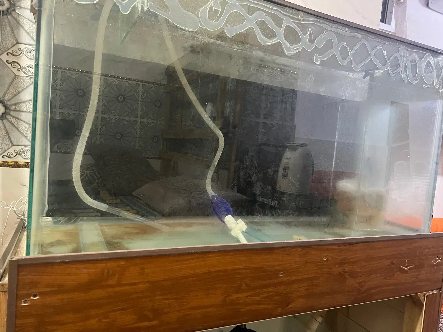 آکواریوم|ماهی|قشم, |دیوار