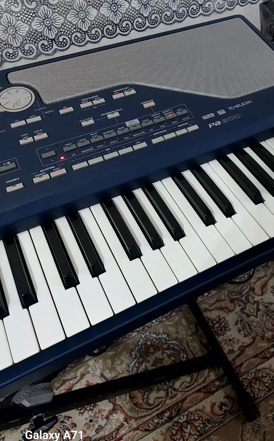 kore p800|پیانو، کیبورد، آکاردئون|مبارکه, |دیوار