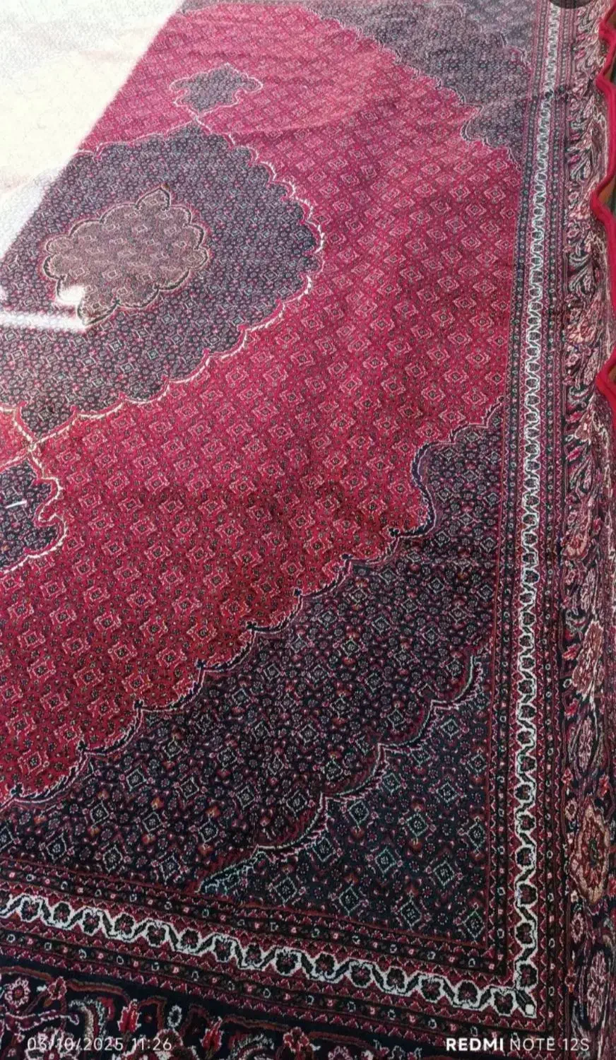 فرش ۵۰۰ شانه ۱۲  متری ماهی|فرش|سلماس, |دیوار