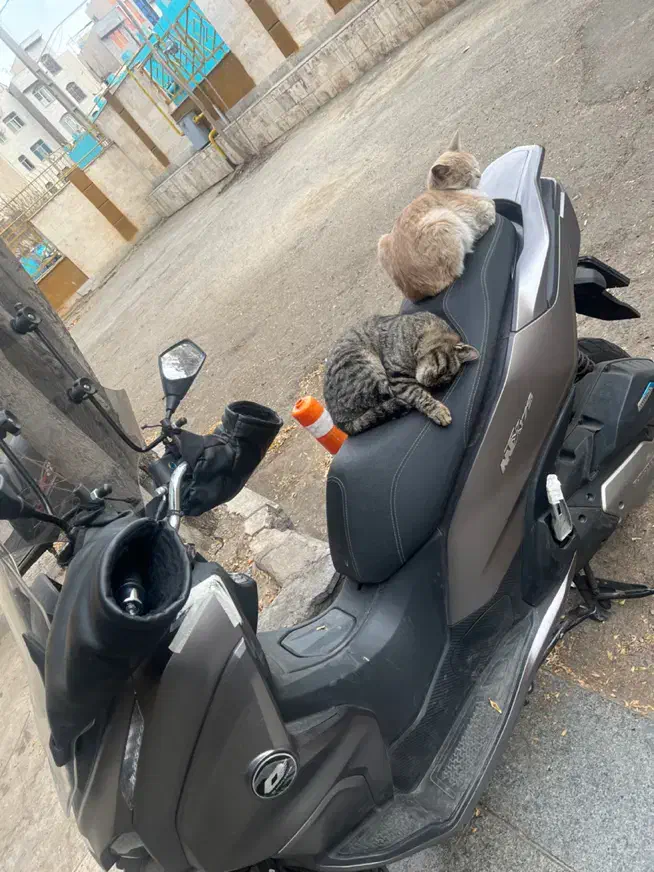 معاوضه با پراید|دوچرخه، اسکیت، اسکوتر|بهارستان, |دیوار