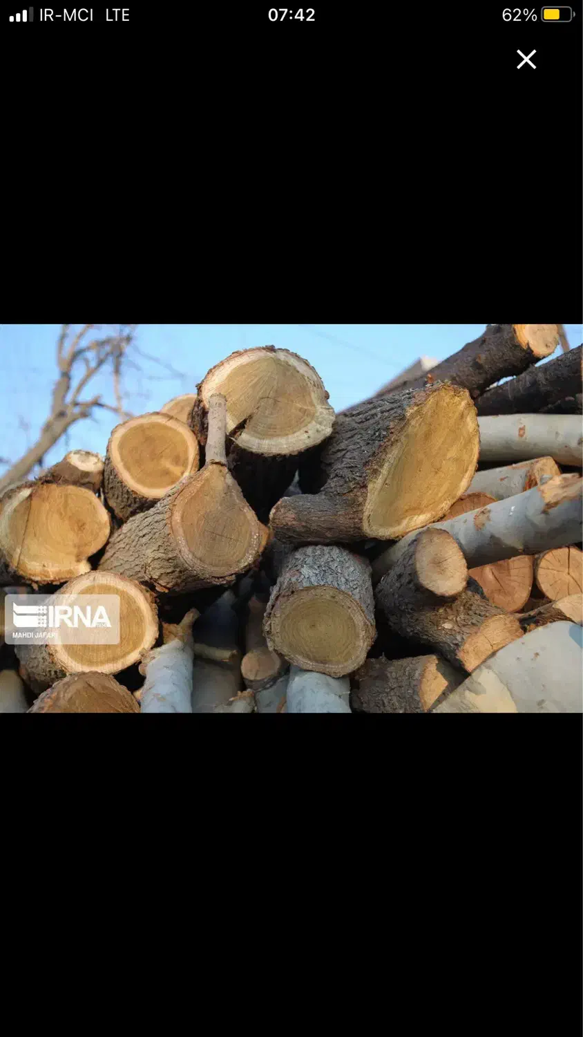 خریدار چوب باغی|خدمات باغبانی و درختکاری|ساری, |دیوار