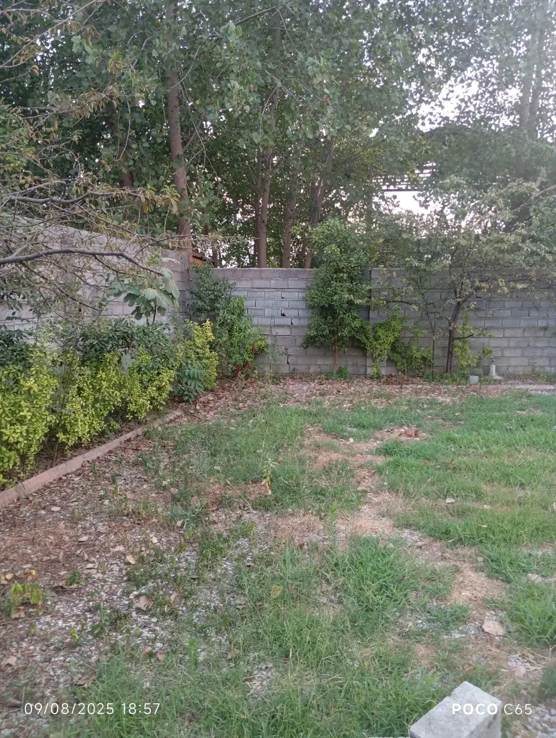 فروش زمین مسکونی قواره دو ساحل چمخاله|فروش زمین و ملک کلنگی|چاف و چمخاله, |دیوار