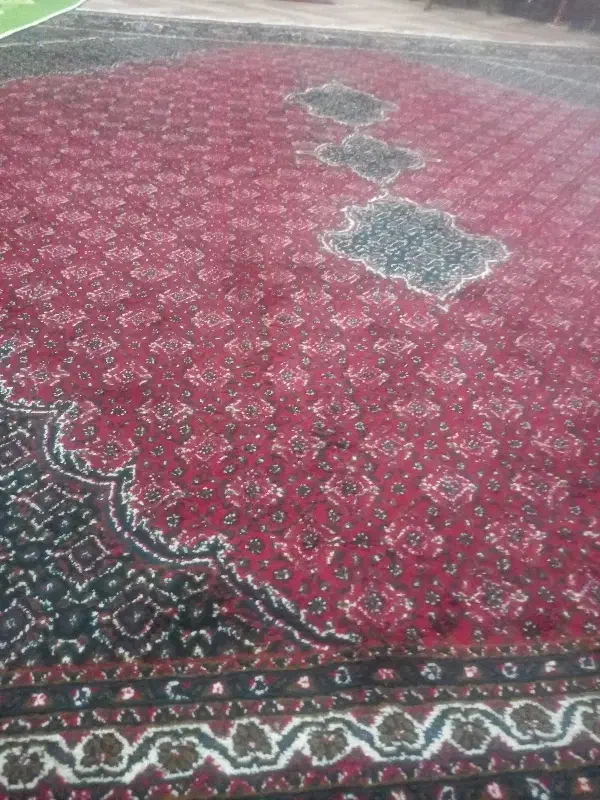 فرش ۳ در۳|فرش|خوی, |دیوار