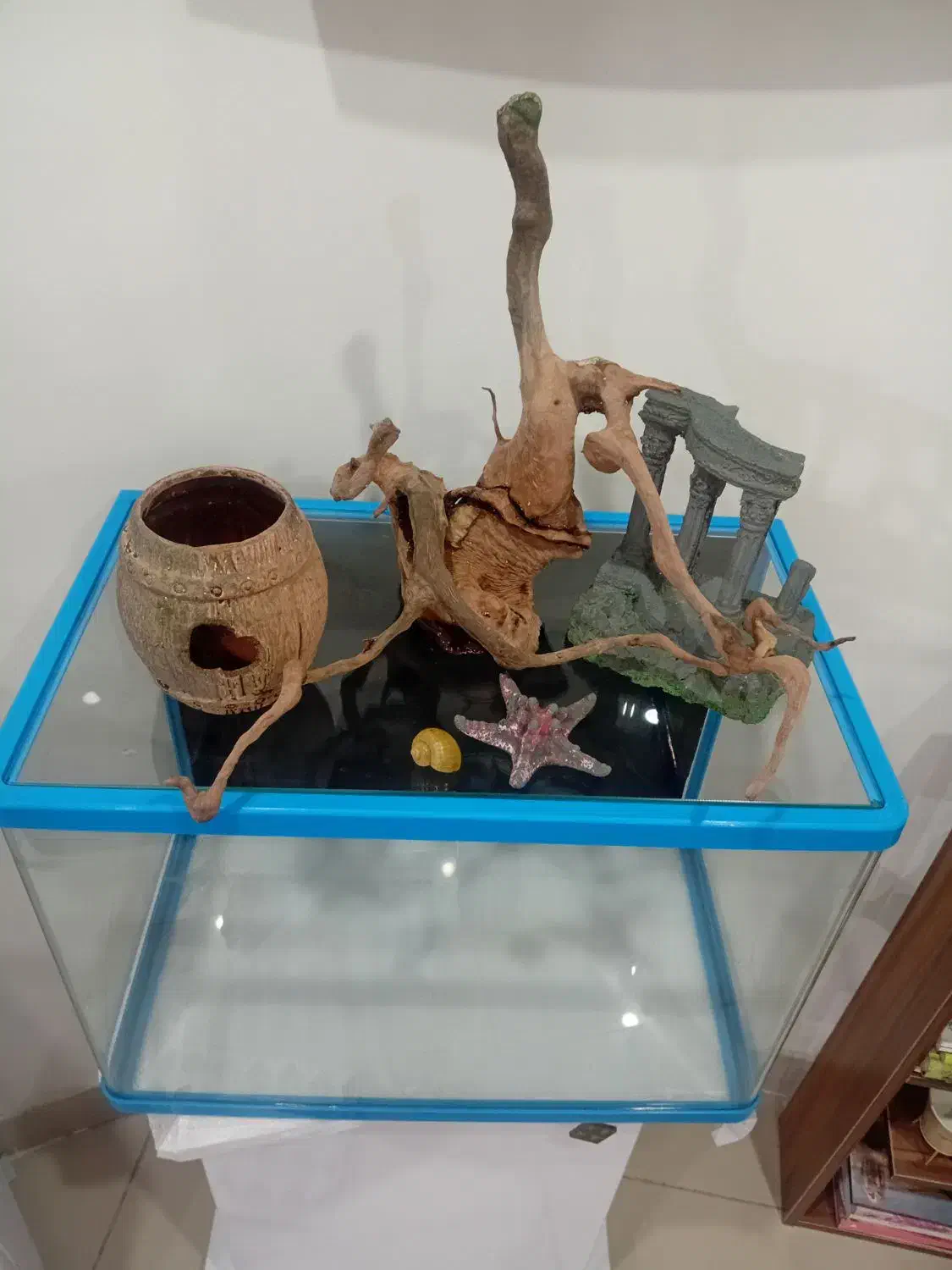 اکواریوم|ماهی|کرج, شهرک بنفشه|دیوار