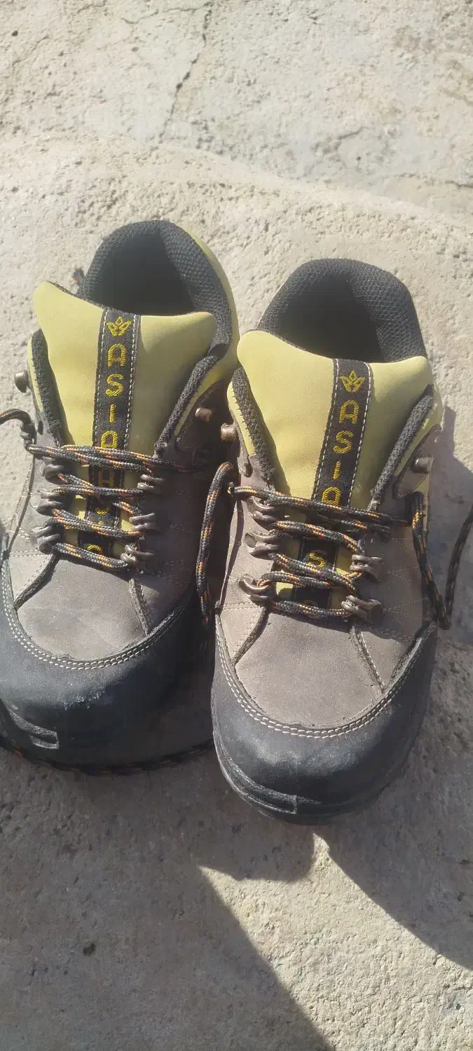 کفش|کیف، کفش، کمربند|دهدشت, |دیوار