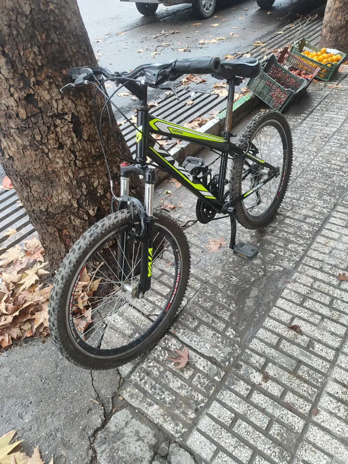 دوچرخه ویوا|دوچرخه، اسکیت، اسکوتر|گرگان, |دیوار