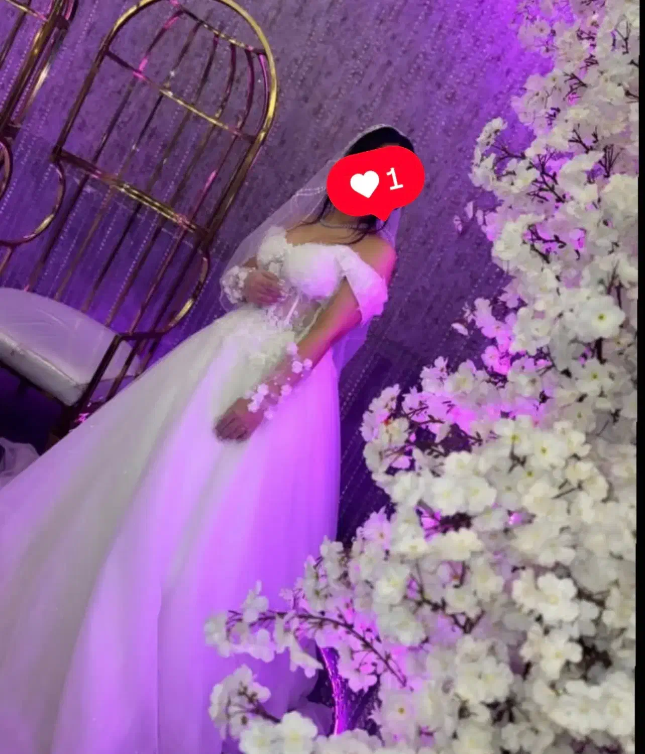 لباس عروس|لباس|ری, علایین|دیوار