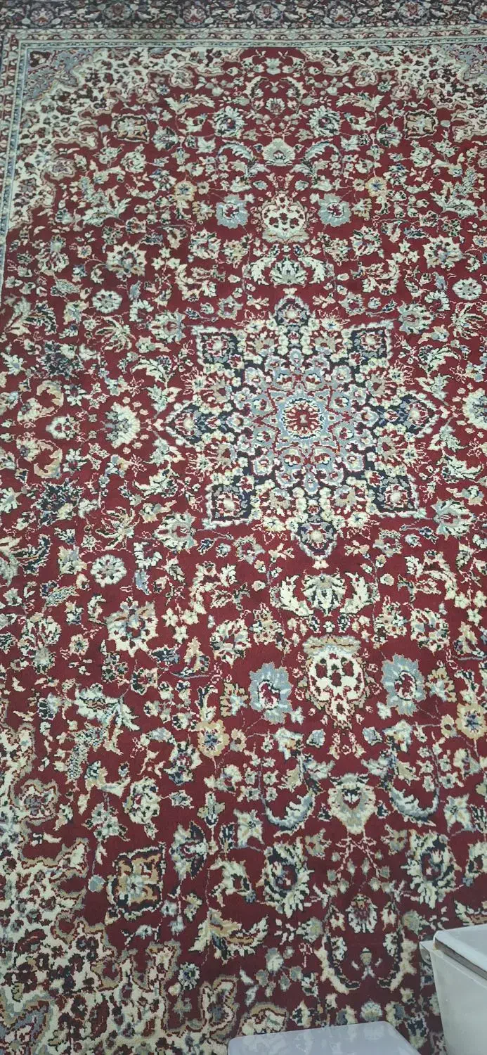 قالی|فرش|شوشتر, |دیوار