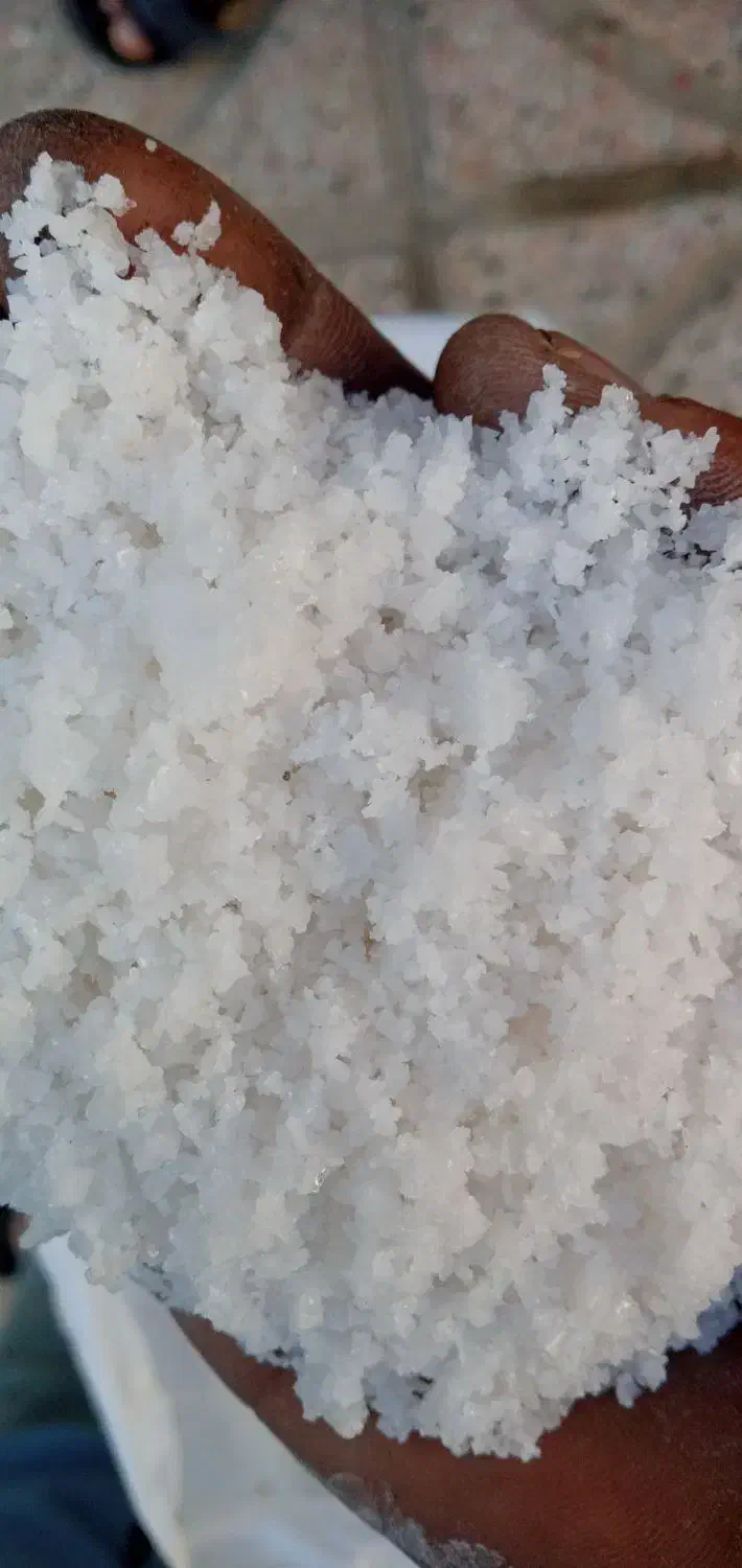 نمک کسی بخواد|خوردنی و آشامیدنی|قائن, |دیوار