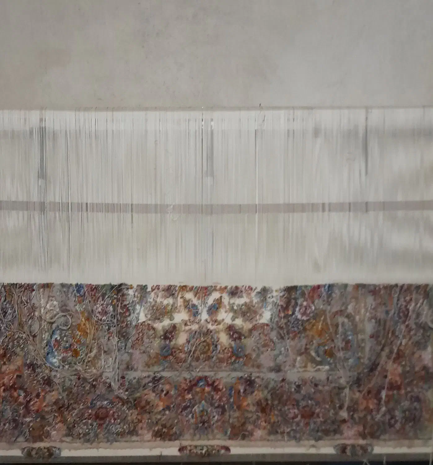 قالی نیمه کاره گلدانی خطیبی|فرش|صوفیان, |دیوار