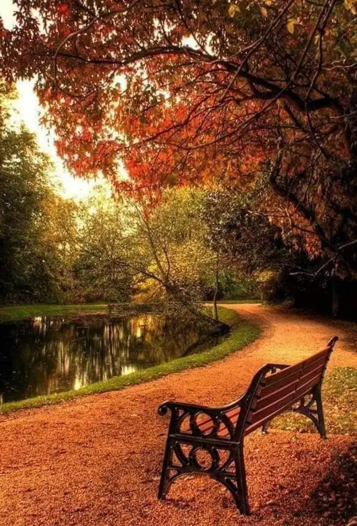 دنبال کار هستم|خدمات پیشه و مهارت|شوط, |دیوار