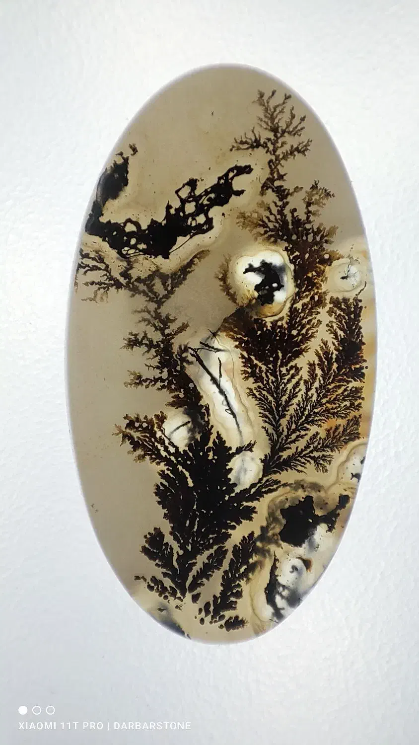 سنگ تزیینی شجر کلکسیونی|جواهرات|شهرضا, |دیوار