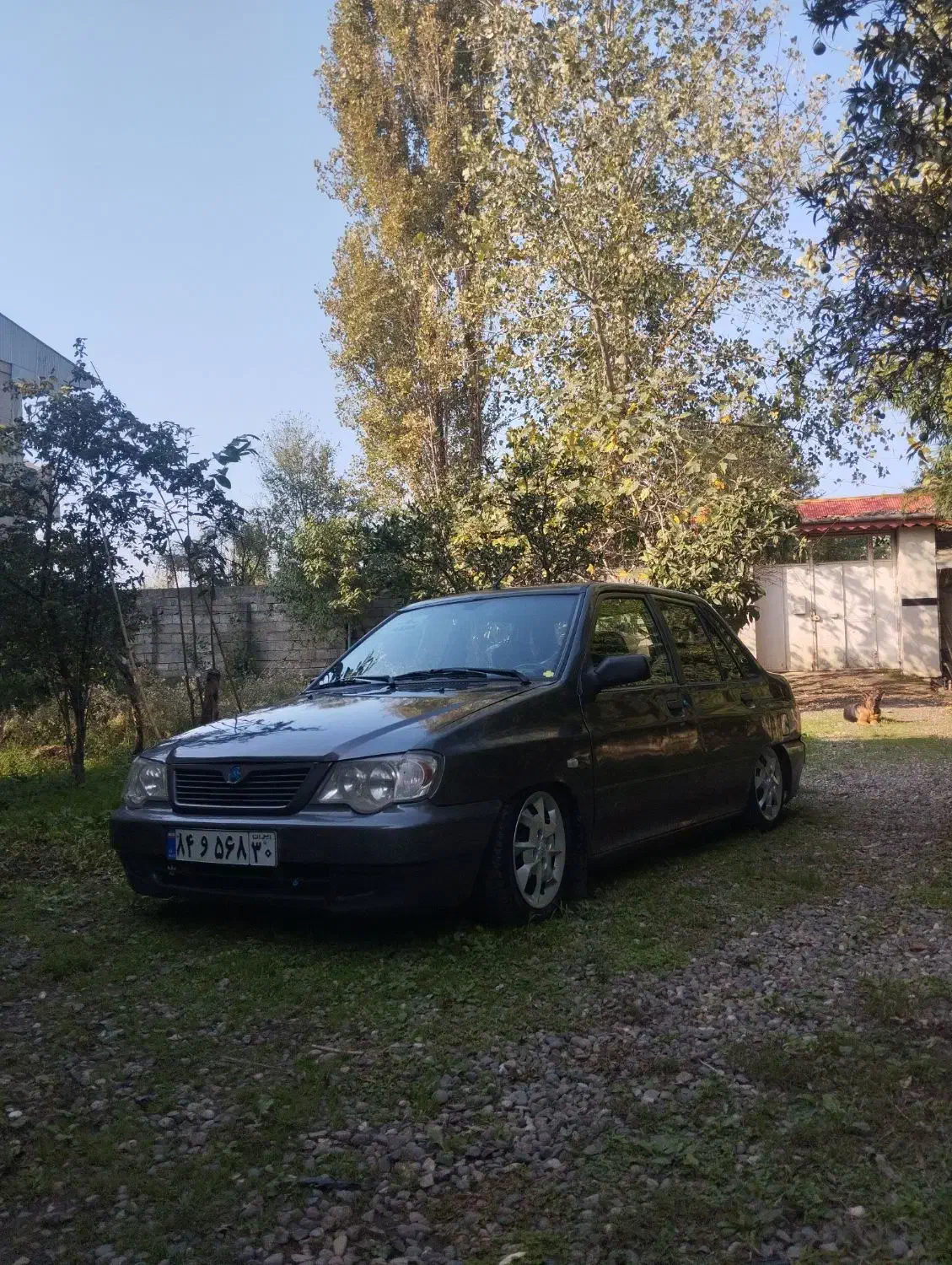 پنوماتیک پرایدی|قطعات یدکی و لوازم جانبی|شلمان, |دیوار