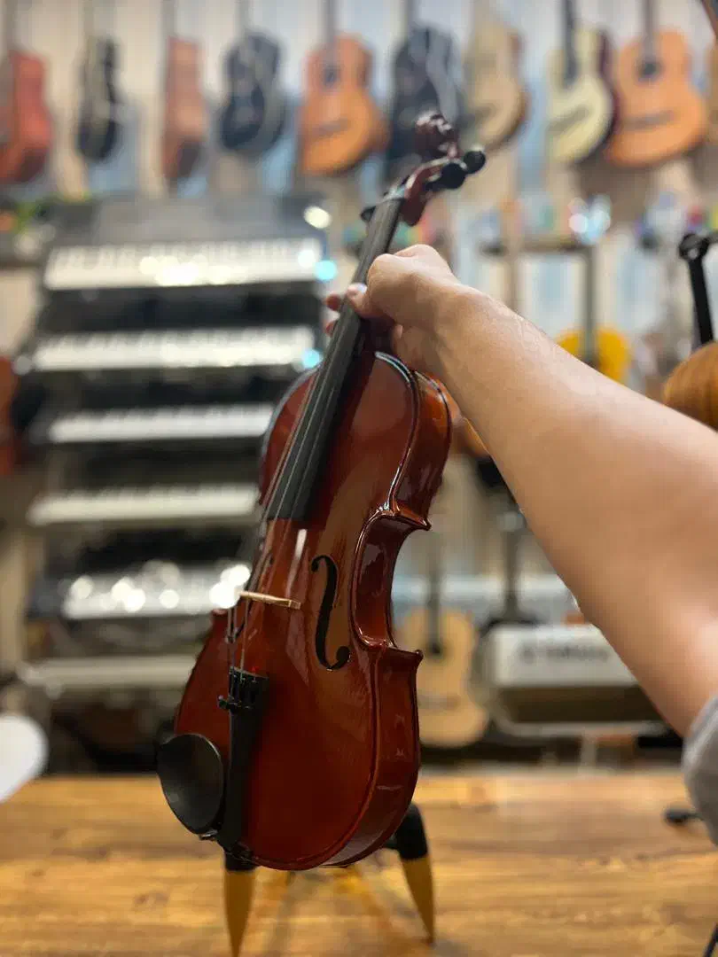 ویولن والنسیا در موزیک ارژنگ|ویولن|پردیس, فاز ۳|دیوار