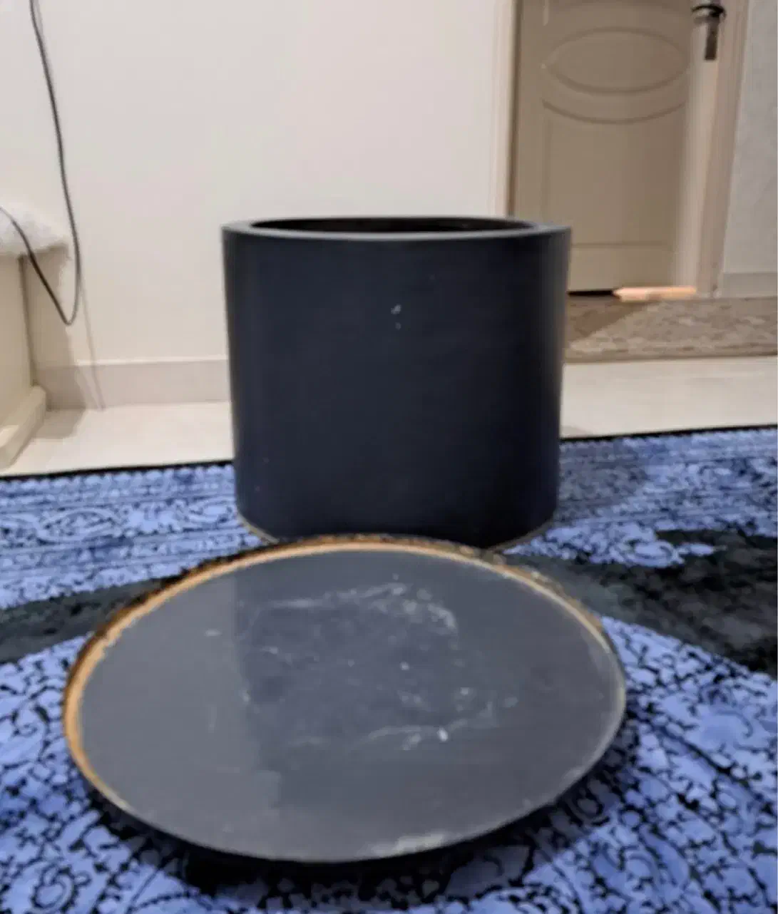 گلدان بزرگ|گل و گیاه طبیعی|کرج, عظیمیه|دیوار