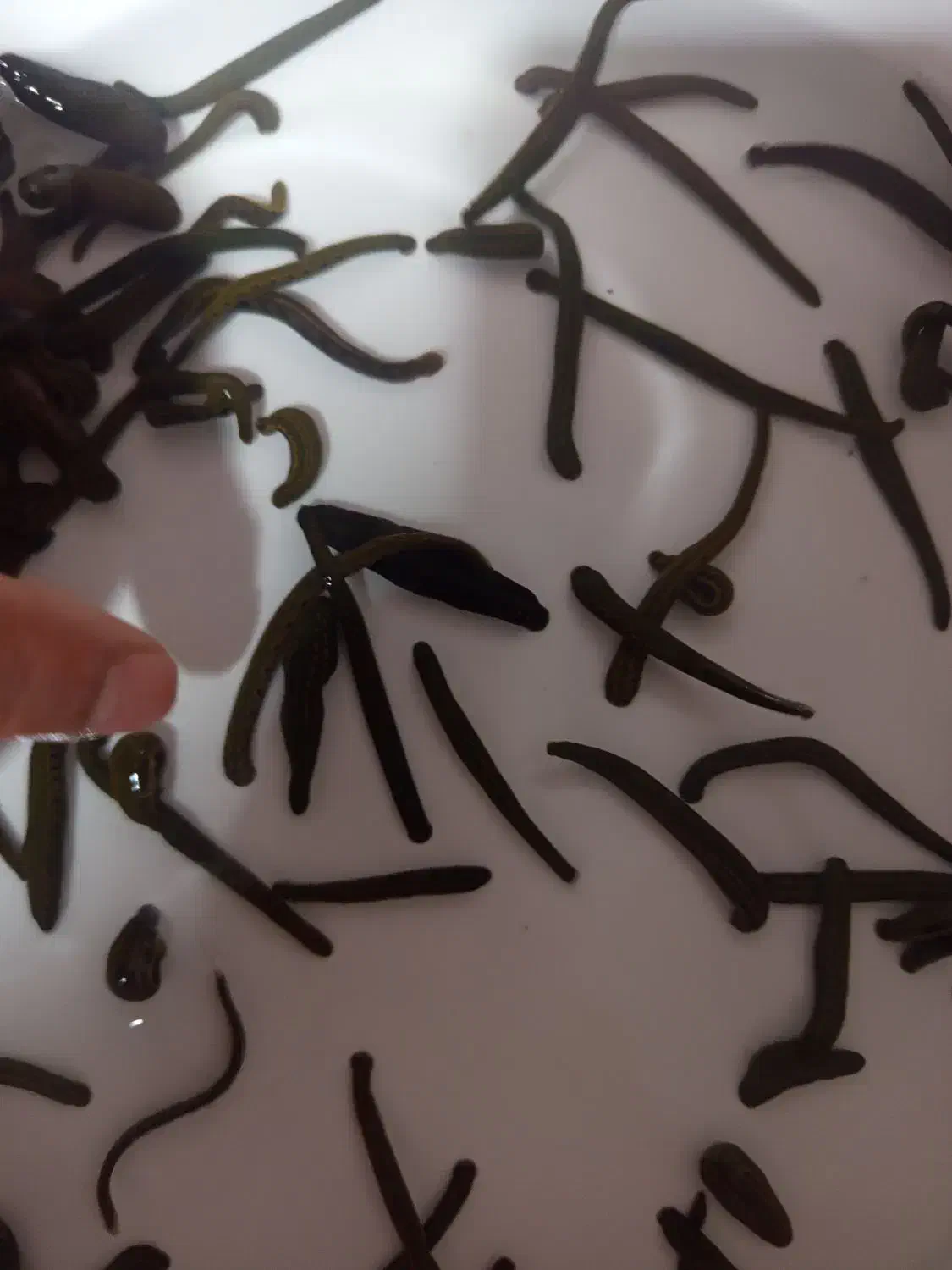 ساختمان پزشکان سبز|خدمات آرایشگری و زیبایی|ایرانشهر, |دیوار