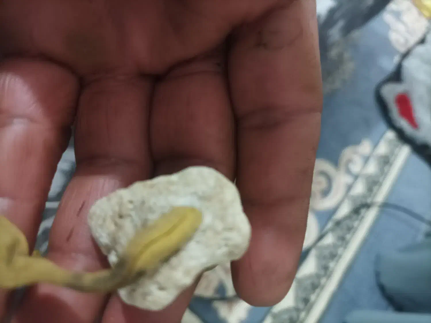 سنگ عطف بحری|جواهرات|شهرکرد, |دیوار