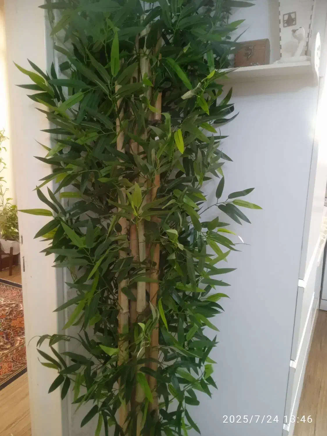 درختچه مصنوعی بامبو|گل مصنوعی|قدس, شهر‌قدس|دیوار