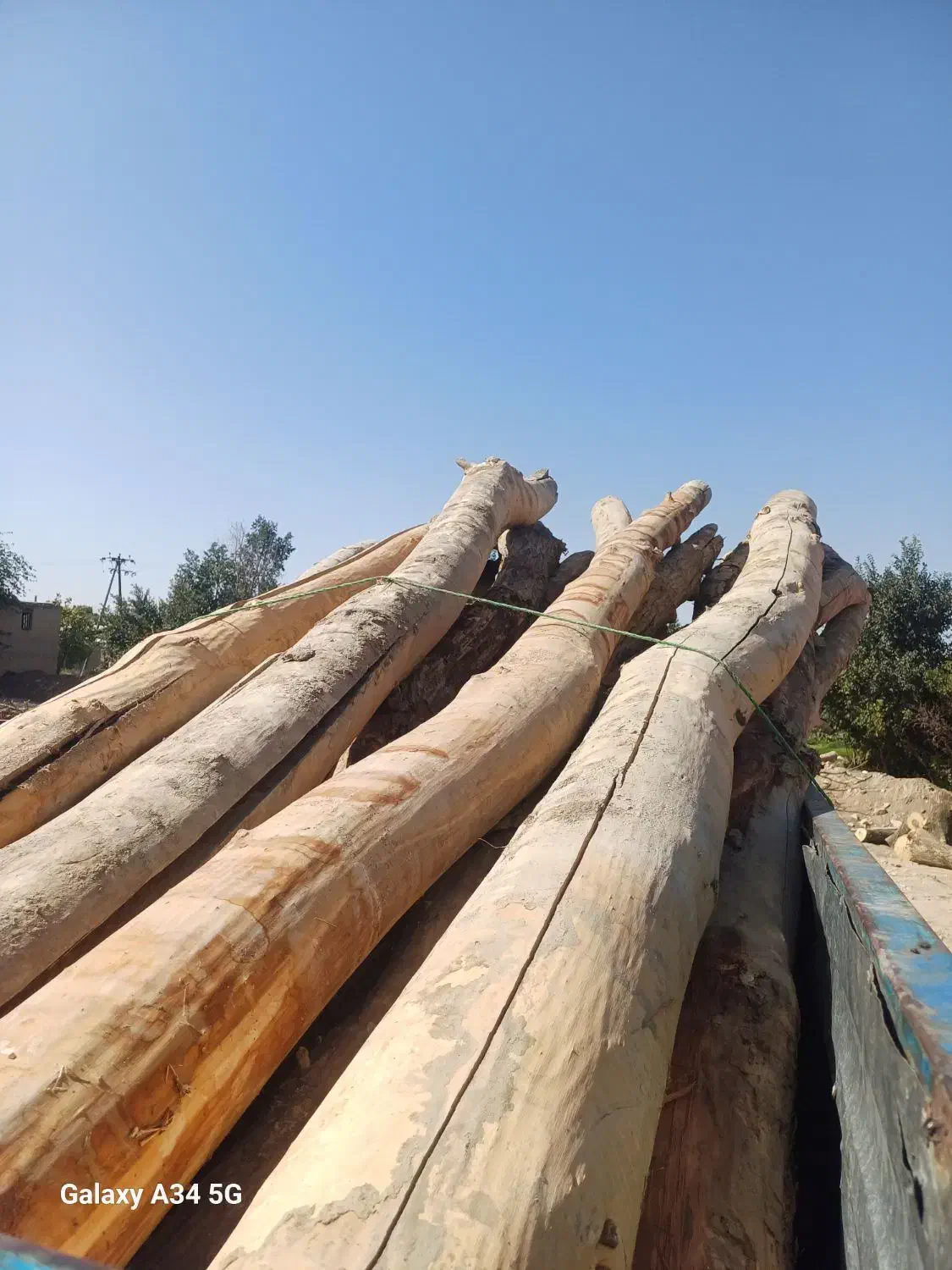 خرید چوب های باغی و میوه ای|خدمات باغبانی و درختکاری|ملایر, |دیوار