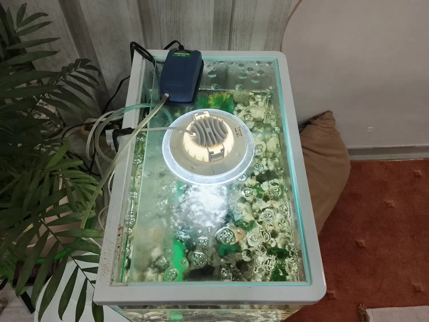 اکواریوم با لوازم|ماهی|ایلام, |دیوار