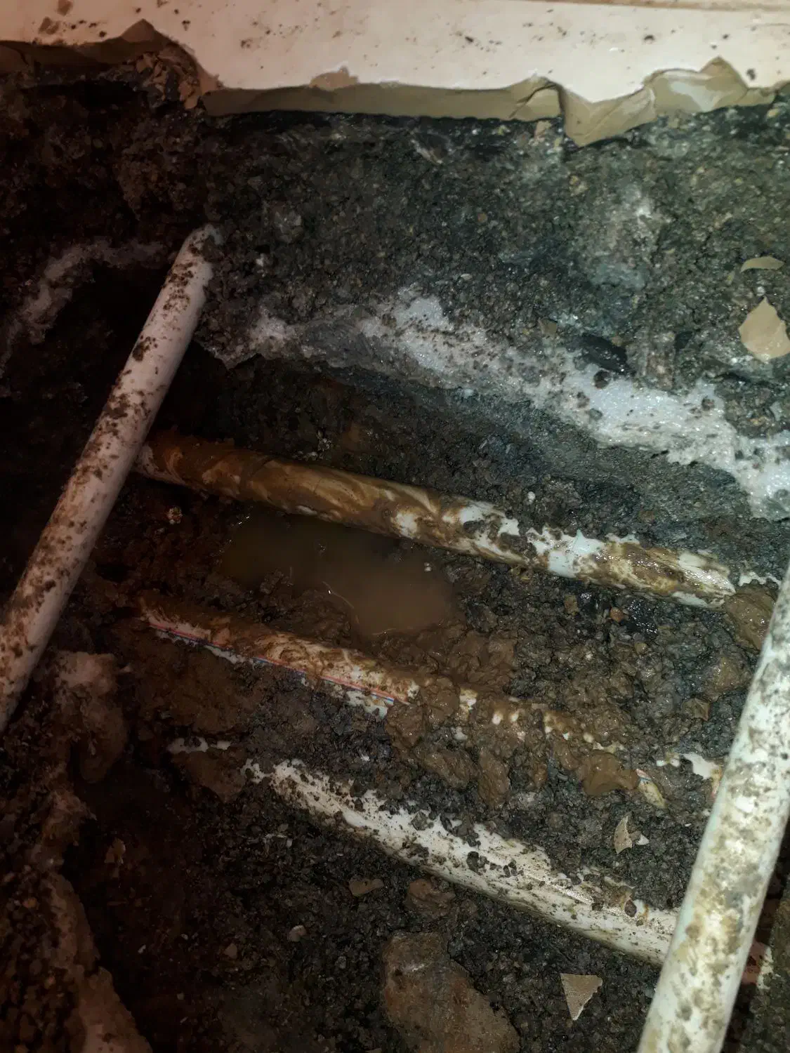 نشتیاب اول|خدمات پیشه و مهارت|گنبد کاووس, |دیوار