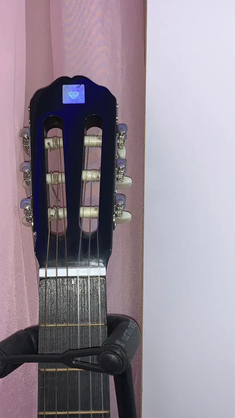 گیتار|گیتار، بیس، امپلیفایر|رباط‌کریم, رباط‌کریم|دیوار