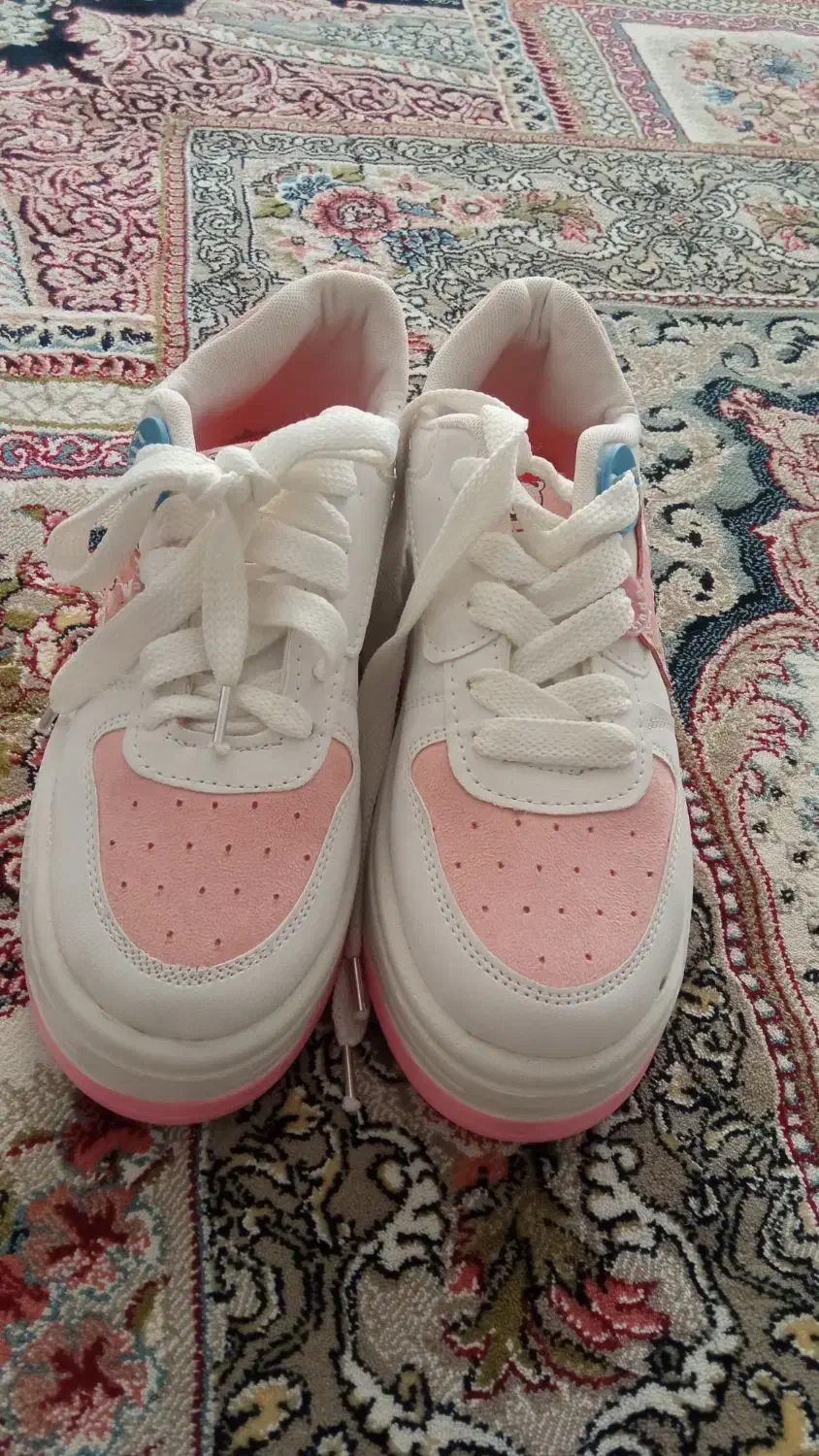 کفش تربت حیدریه|کیف، کفش، کمربند|تربتحیدریه, شهرک ولیعصر|دیوار