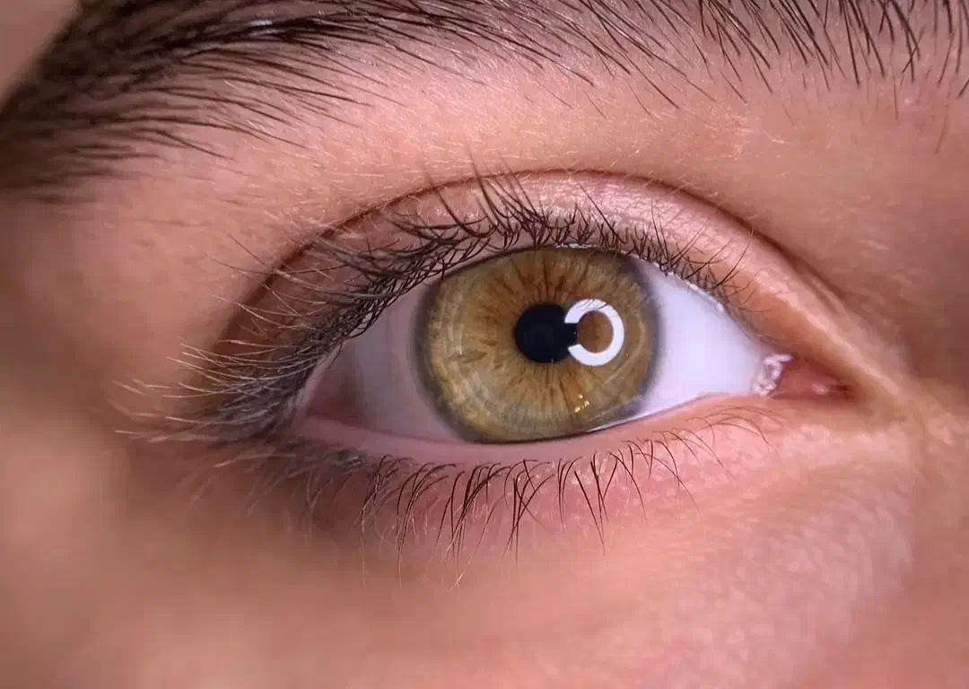 کراتین و احیا ،اکستنشن مو ،لیفت مژه و ابرو|خدمات آرایشگری و زیبایی|اردبیل, |دیوار